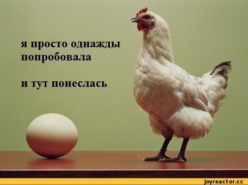 Я несу радость, а ты?