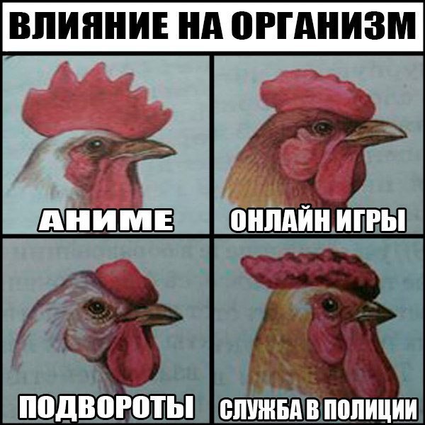 На злобу дня