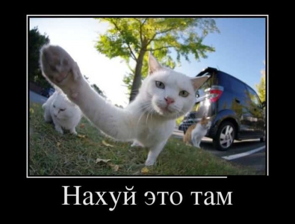 Депутаты предложили сократить новогодние каникулы