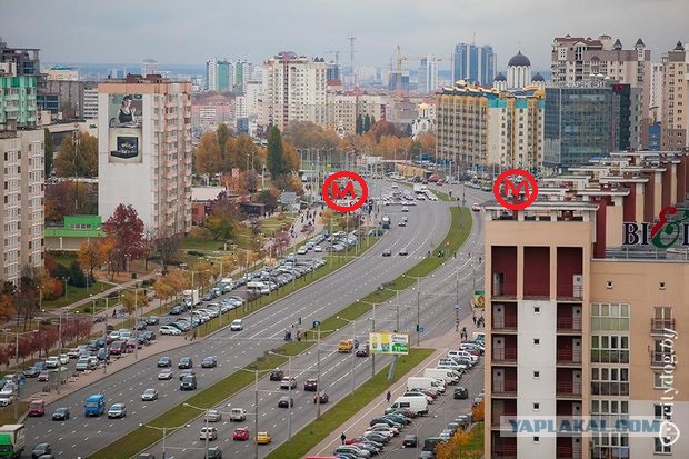 Минчанина облили краской с фразой «достал отправлять фото парковки в ГАИ»