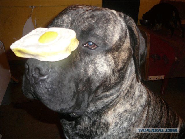 Cпециалисты по недвижимости