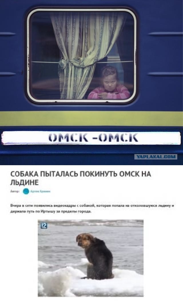 Самые известные мемы в истории Интернета