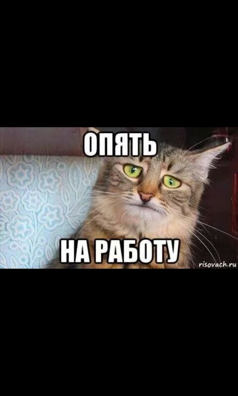 Смешные комментарии из социальных сетей 13.04.2018