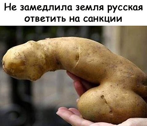 Скотсети и прочие интернеты 23.04.18