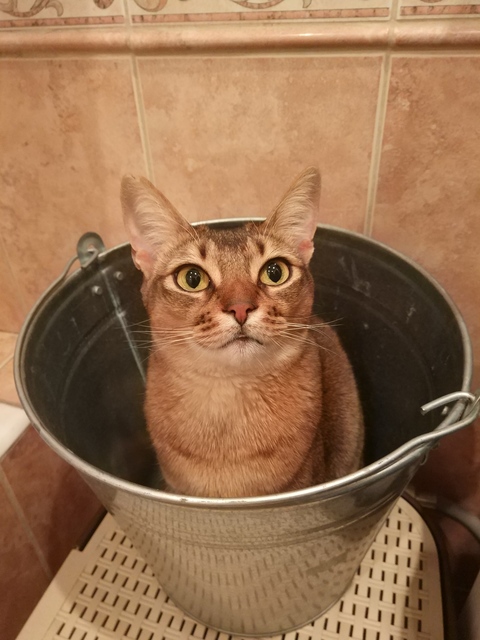 Ну дай
