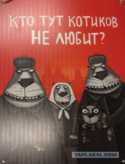 Мой стаж холостяка  - 10 лет. И я отлично себя чувствую
