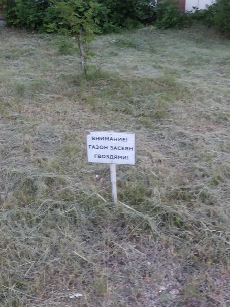 Прикольные надписи и объявления