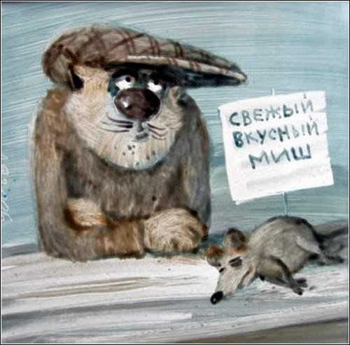 Котовторник уже сегодня!