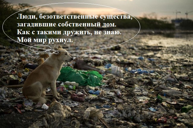 Пластмассовый мир победил?