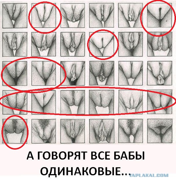 Субботний трэш и адовый расколбас