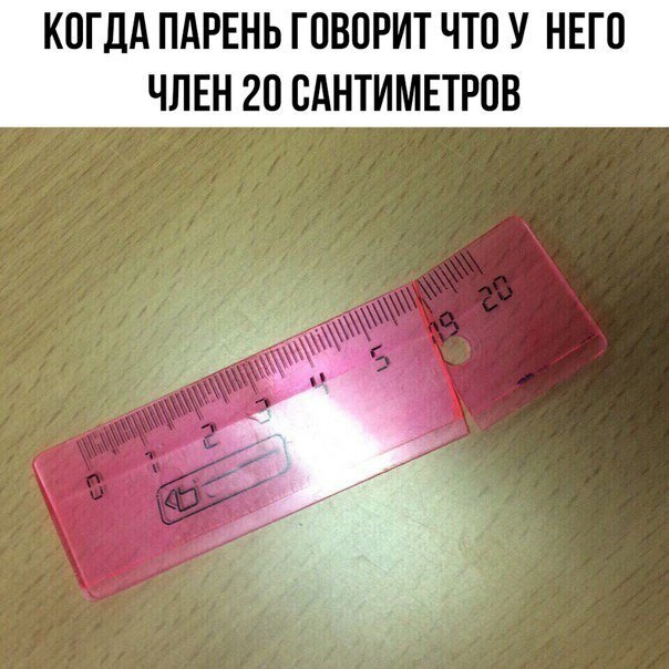 Куда катится жизнь