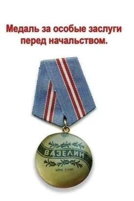 Маразм крепчал. Медведев в Чите прошёлся вдоль выставленной в дыму лесопожарной техники