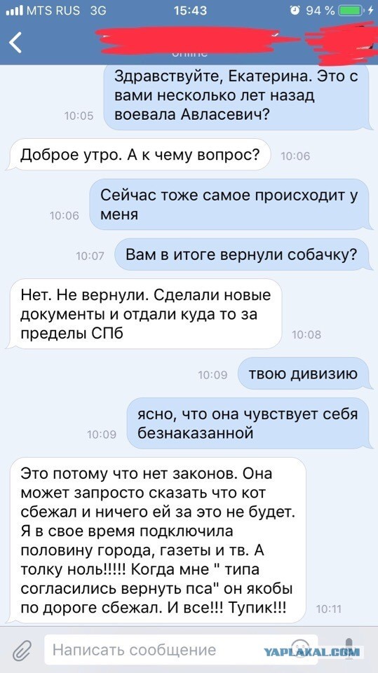 Помогите вернуть кота! Приют "Преданное сердце" украл кота и не отдает!