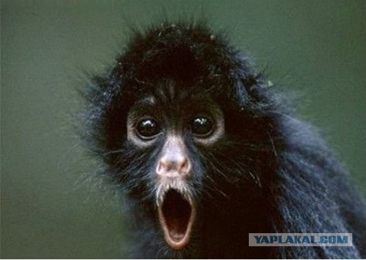 Игра стоит свеч?