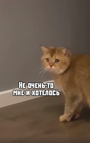 С ума сошла, что-ли?!