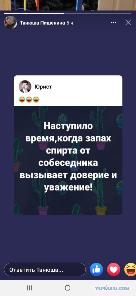 Немного картинок для настроения 31.03.20