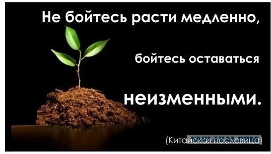 Чуток картинок 15.04.20