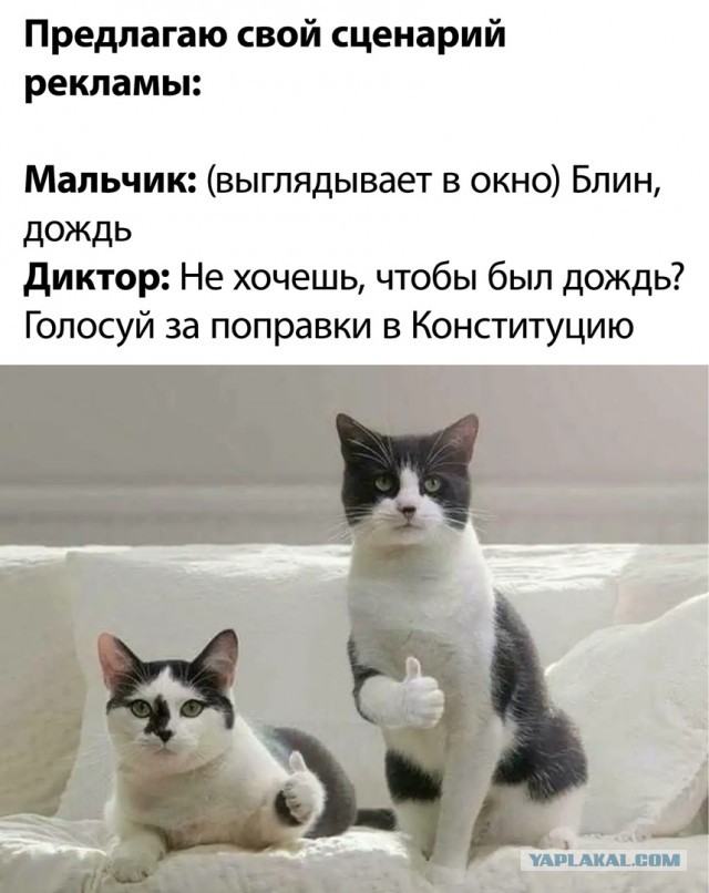 «Мы отказываем Владимиру Путину в доверии»