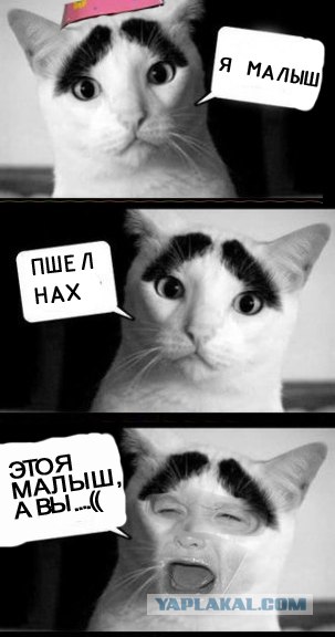 Фотожаба: Что случилось, малыш?