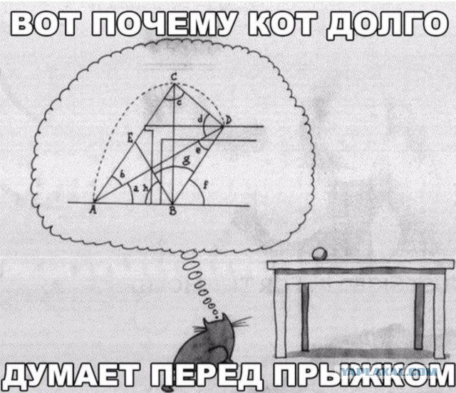 Бредзона 30.10.2020