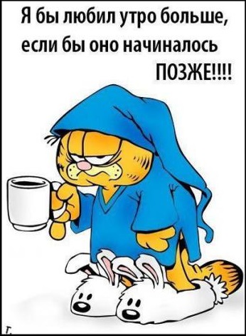 А ты случаем не моргенмуффель, коллега?