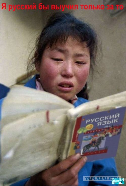 Фотожаба: Чак осваивает украинский язык