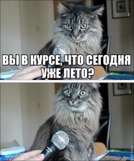 Картинки разнообразные