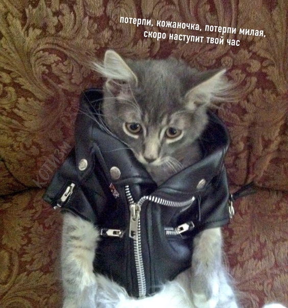 Алкопост 27.03.21