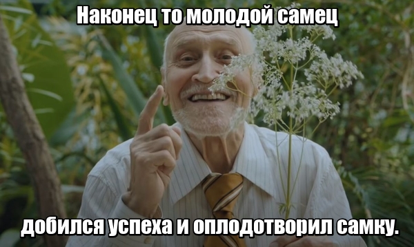 Рыба не ловилась...