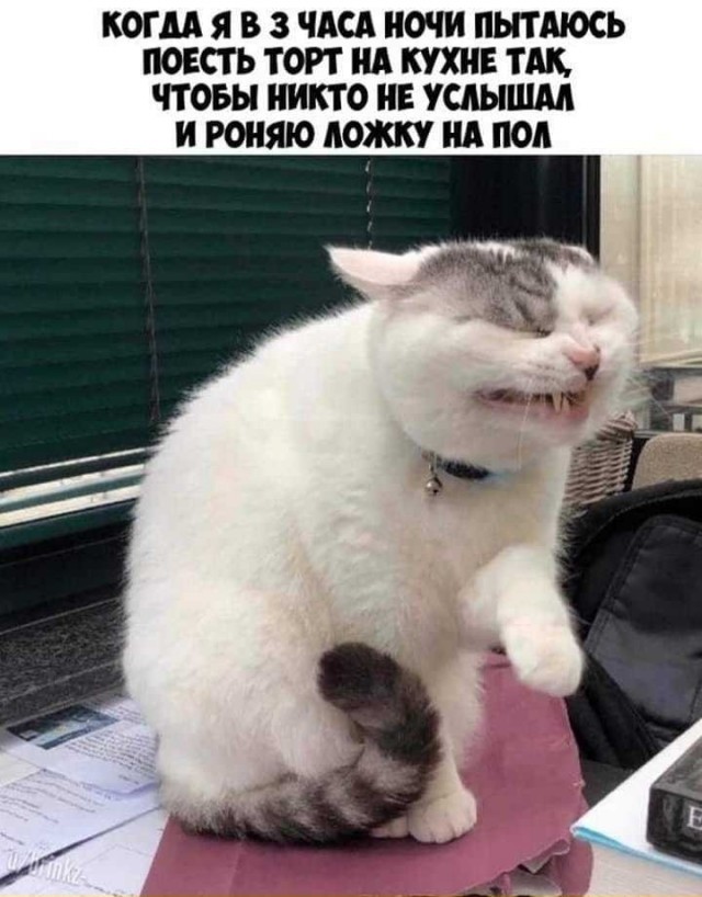 Юмор и прикольные картинки