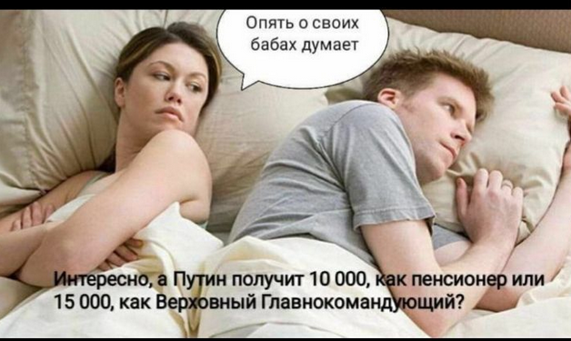15903659.png