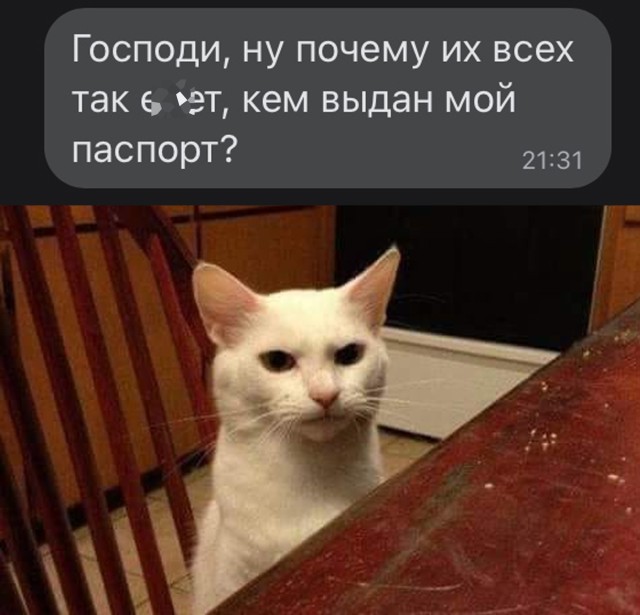 Так себе картинки 04.11.21