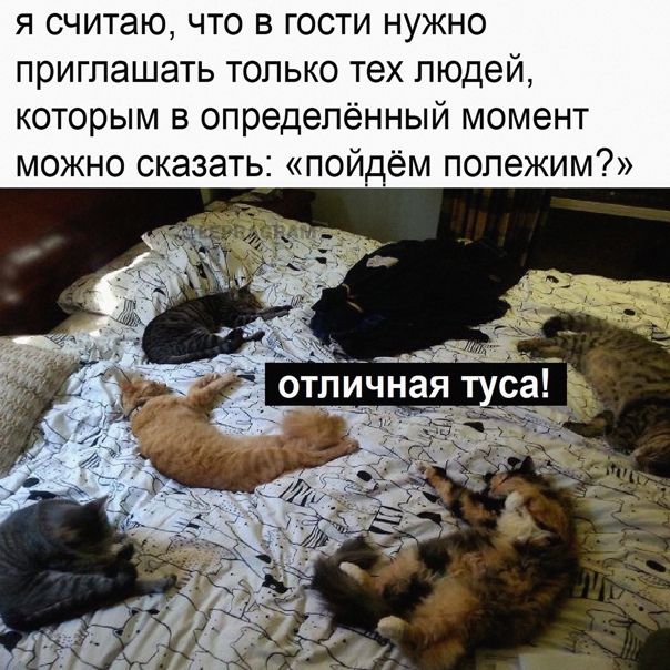 Картинки и мемы для настроения 18.01.2022