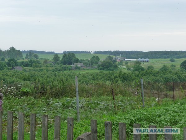 Поездка в Беларусь