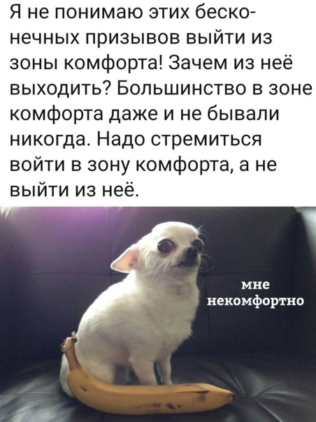 Всяческие картинки 02.02.2022