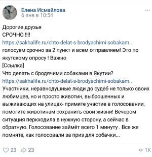 В Якутске зоозащитники сами отравляют собак?!
