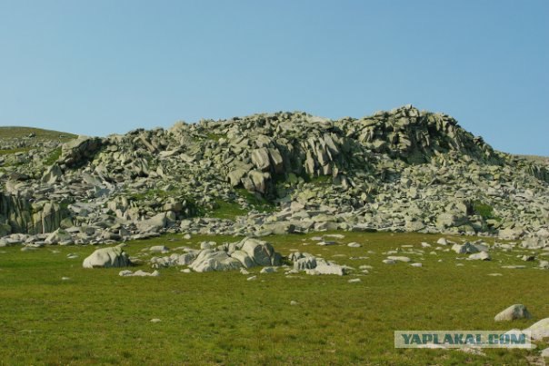 Алтайские красоты