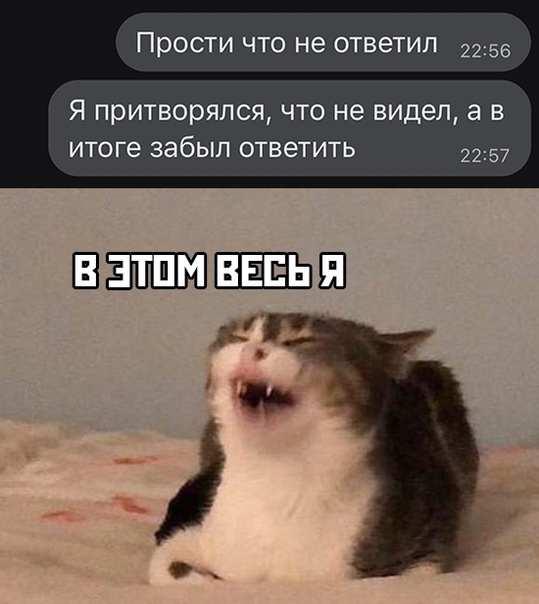 Весёлый полтишок 04.07.22