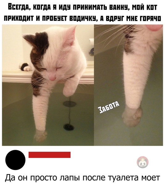 Картинки и мемы для настроения - 19