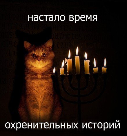 Зайчик
