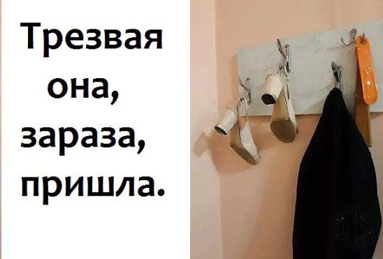 Так себе картинки 06.06.23