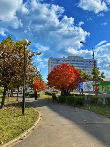 Краски осени
