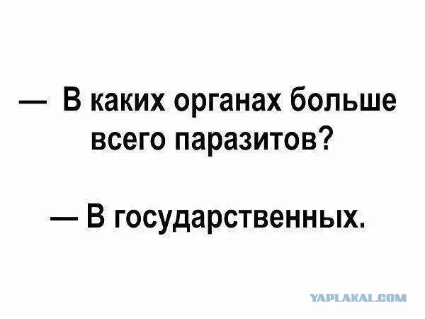Чуток картинок
