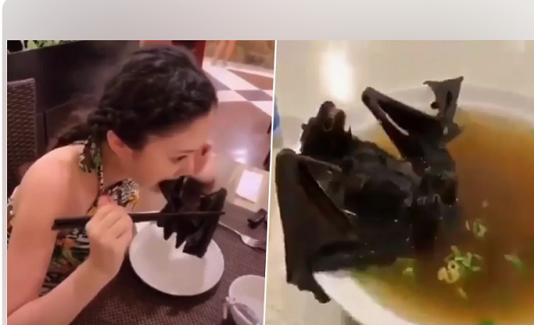 Какая смертность среди людей от укусов животных и насекомых