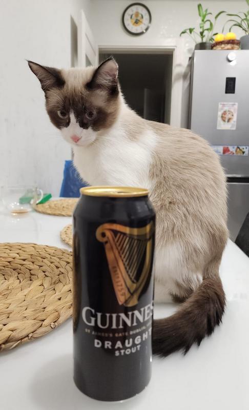 Принимайте в клуб! Котовторник же