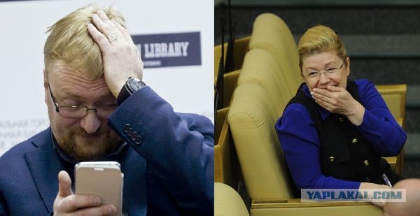 Погладил