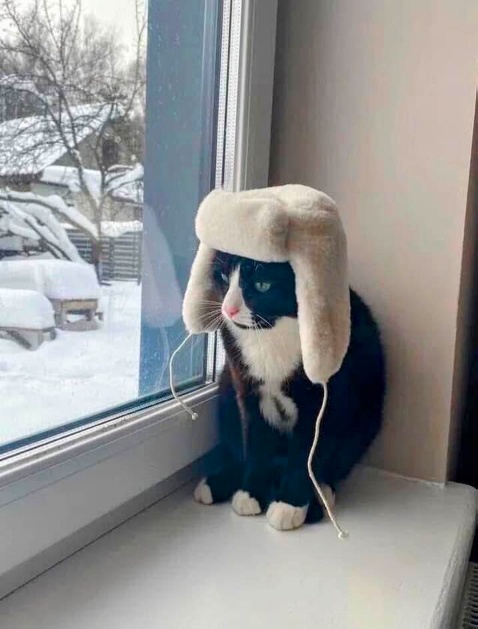 Скуфня (Бояны)