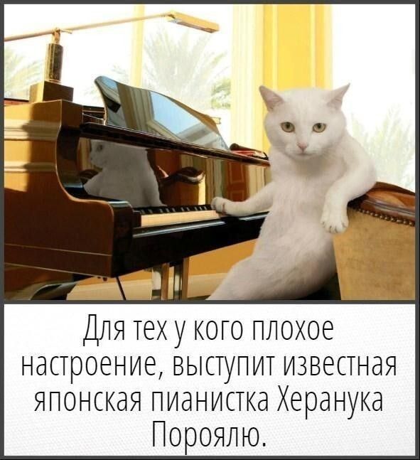 Маленькая пятница 02.02.25