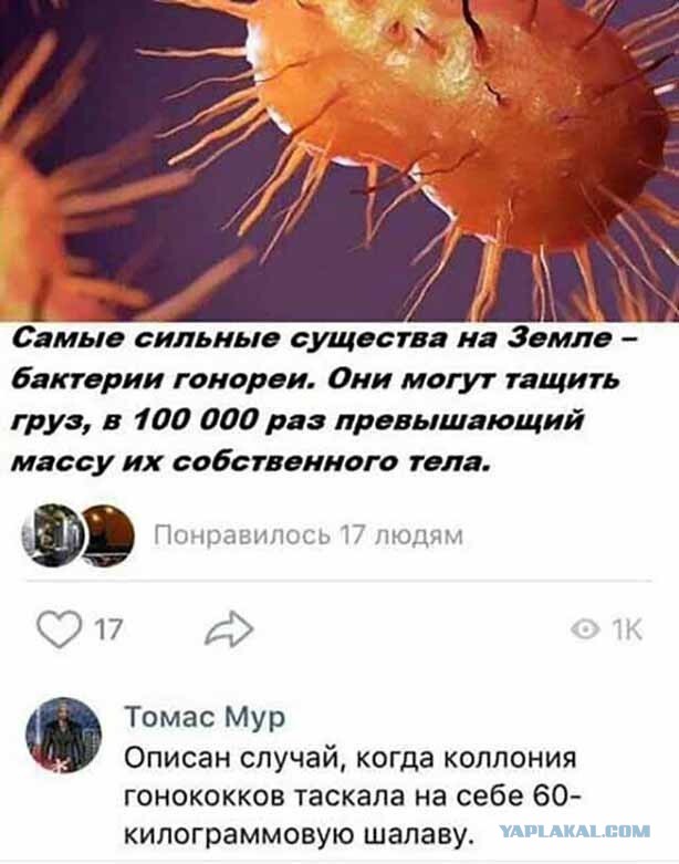Жена с Египта привезла в "подарок"...