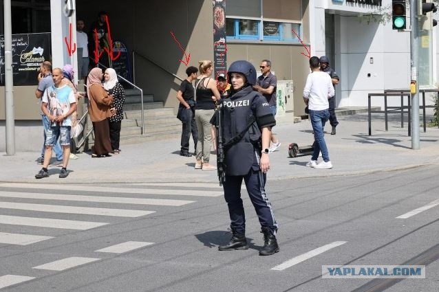 Стрельба в школе австрийского города Грац